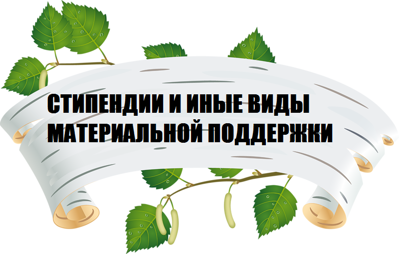 Стипендии и меры поддержки обучающихся.